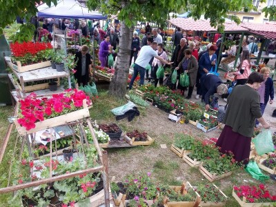 Cvjećarstvo na granici isplativosti i odustajanja