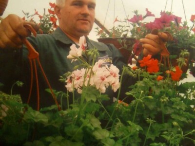 Cvjećarstvo na granici isplativosti i odustajanja