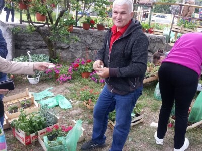 Cvjećarstvo na granici isplativosti i odustajanja