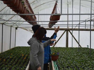 Cvjećarstvo obitelji Špica Cvjećarstvo obitelji Špica