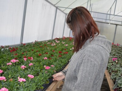 Cvjećarstvo obitelji Špica Cvjećarstvo obitelji Špica