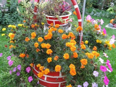 Cvjetna oaza obitelji Lončarević