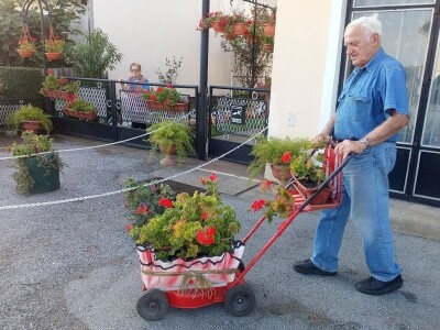 Cvjetna oaza obitelji Lončarević