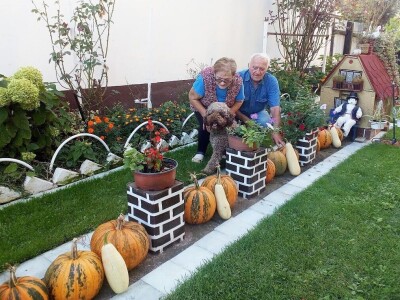 Cvjetna oaza obitelji Lončarević