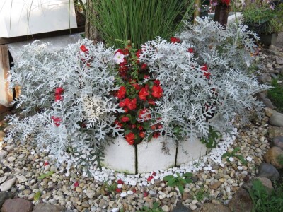 Cvjetna oaza obitelji Lončarević