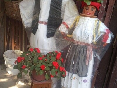 Cvjetna oaza obitelji Lončarević