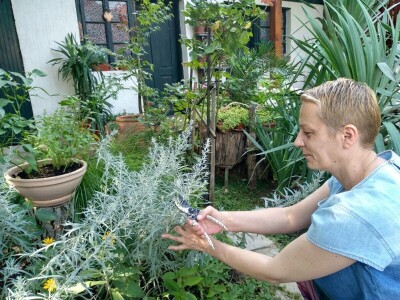 Cvjetni vrt Milice Arsić iz Topole, pobjednice konkursa #najokućnica Agrokluba