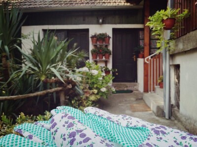 Cvjetni vrt Milice Arsić iz Topole, pobjednice konkursa #najokućnica Agrokluba