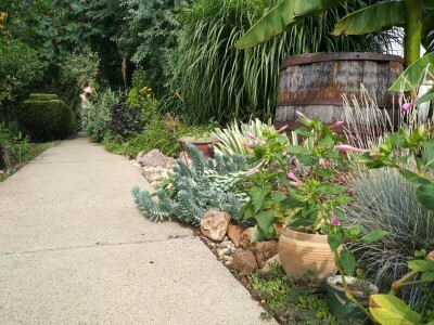 Cvjetni vrt Milice Arsić iz Topole, pobjednice konkursa #najokućnica Agrokluba