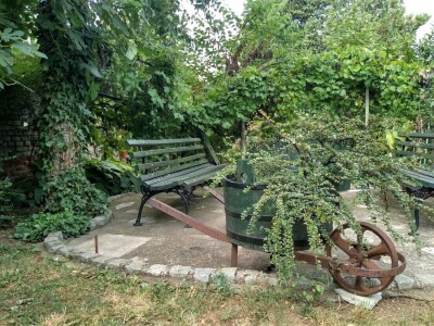 Cvjetni vrt Milice Arsić iz Topole, pobjednice konkursa #najokućnica Agrokluba