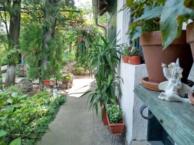 Cvjetni vrt Milice Arsić iz Topole, pobjednice konkursa #najokućnica Agrokluba