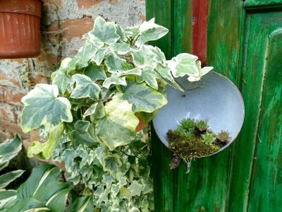 Cvjetni vrt Milice Arsić iz Topole, pobjednice konkursa #najokućnica Agrokluba