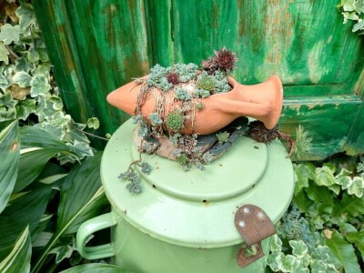 Cvjetni vrt Milice Arsić iz Topole, pobjednice konkursa #najokućnica Agrokluba