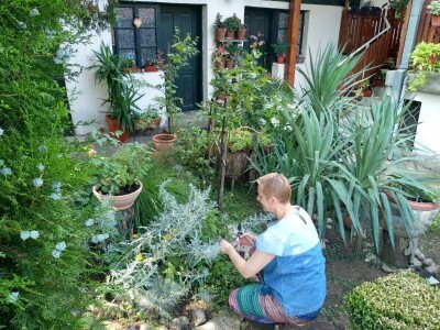 Cvjetni vrt Milice Arsić iz Topole, pobjednice konkursa #najokućnica Agrokluba