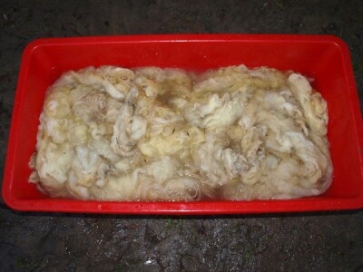 Od ovce do čarape Od ovce do čarape