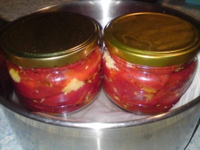 Paterizacija