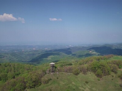 Da li ste probali sremuš?