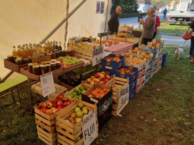Izložba plodova starih sorti Cernik 2024