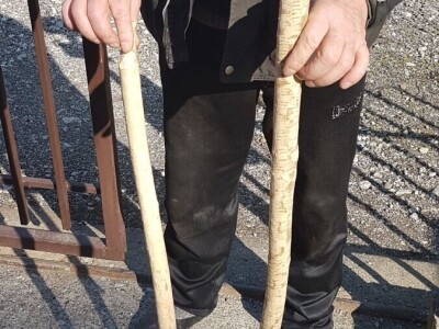 Dabar - Od istrebljenja do velikog povratka na srpske reke Dabar - Od istrebljenja do velikog povratka na srpske reke