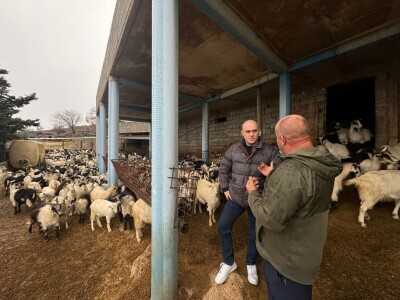 Dabro u posjeti OPG-u Božić Dabro u posjeti OPG-u Božić