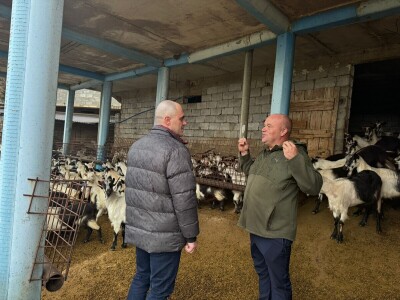 Dabro u posjeti OPG-u Božić Dabro u posjeti OPG-u Božić