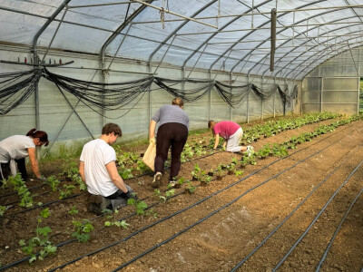 OPG Novosel Gornja Stubica