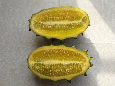 Dah Afrike u prijedorskim baštama