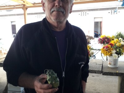 Dah Afrike u prijedorskim baštama