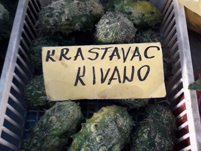 Dah Afrike u prijedorskim baštama