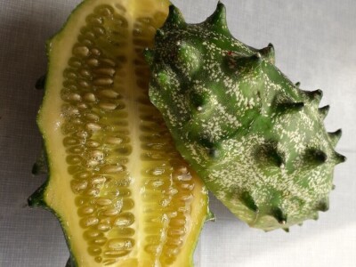 Dah Afrike u prijedorskim baštama