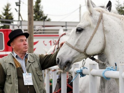 Đakovo Expo Zlatne ruke