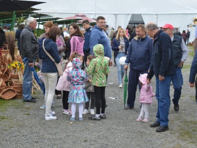 Đakovo Expo Zlatne ruke