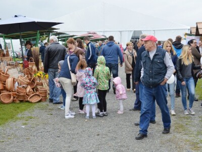 Đakovo Expo Zlatne ruke