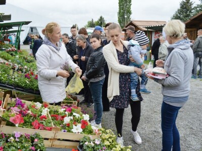 Đakovo Expo Zlatne ruke