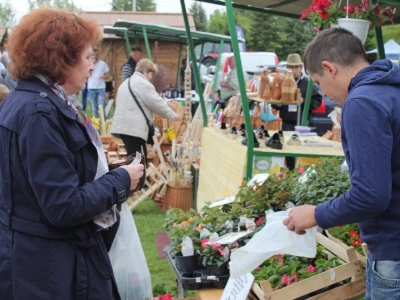 Đakovo Expo Zlatne ruke
