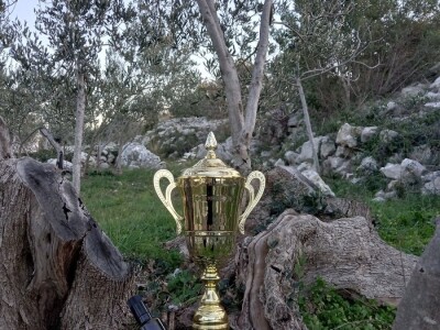 DALMA OLEUM DANIJELE LALIN - Šampionsko ulje iz Maškovića hana ide na svjetsko natjecananje maslinovih ulja u Naw Yorkju