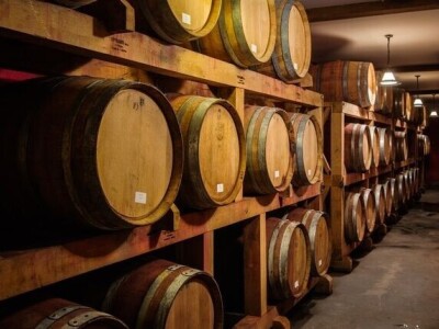 Dalmacijavino Dalmacijavino