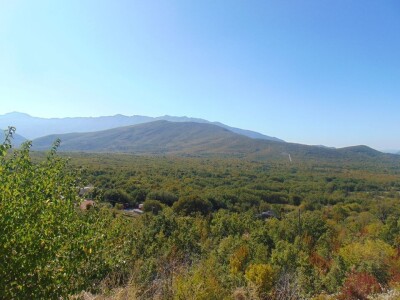 Dalmatinci govedarstvo