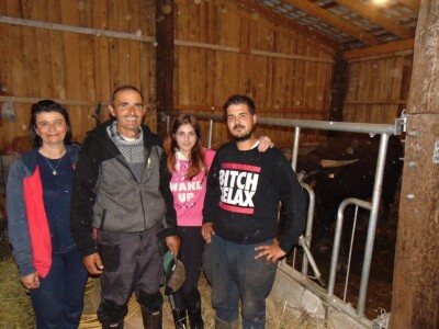 Dalmatinci govedarstvo