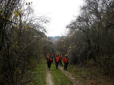 U potrazi za divljim životinjama