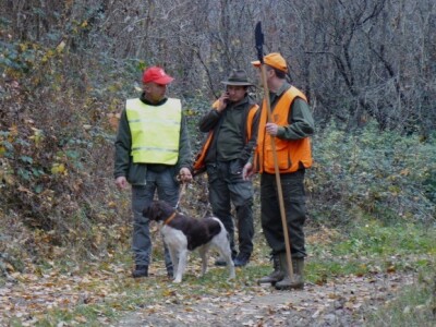 Potpora kolega lovaca