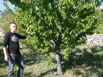 Vlasnik OPG-a Damir Musa