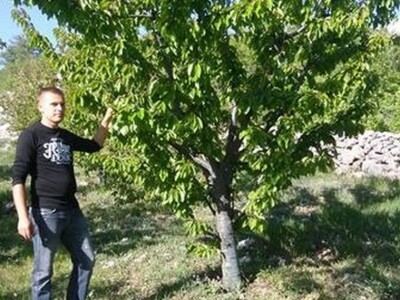 Vlasnik OPG-a Damir Musa