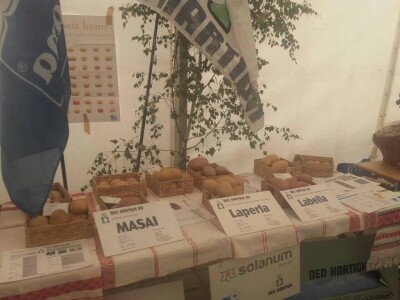 Dan ličkog krumpira