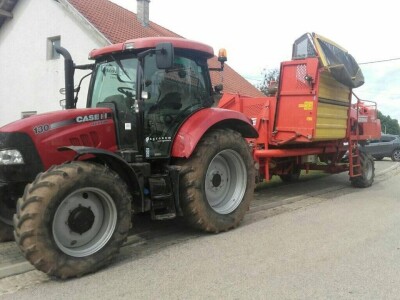 Dan ličkog krumpira