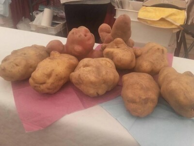 Dan ličkog krumpira