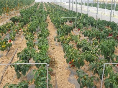 Dan organske proizvodnje Republike Srpske Dan organske proizvodnje Republike Srpske