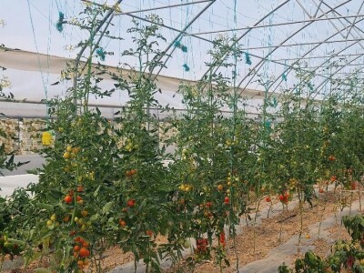 Dan organske proizvodnje Republike Srpske Dan organske proizvodnje Republike Srpske