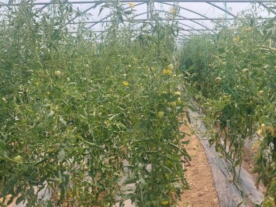 Dan organske proizvodnje Republike Srpske Dan organske proizvodnje Republike Srpske