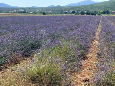 Dan organske proizvodnje RS u Ljubinju